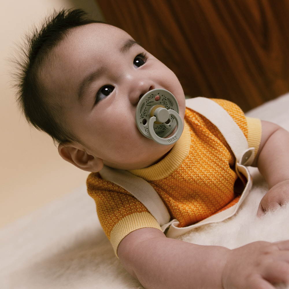 bibs holiday pacifiers