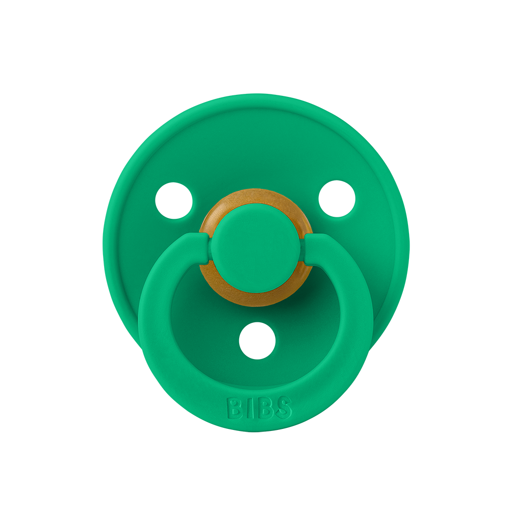 Colour Pacifier - Cactus - BIBS